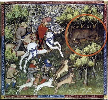 https://sf.lechasseurfrancais.com/wp-content/uploads/2025/04/11364_704702_k7_k1_1680905.jpg